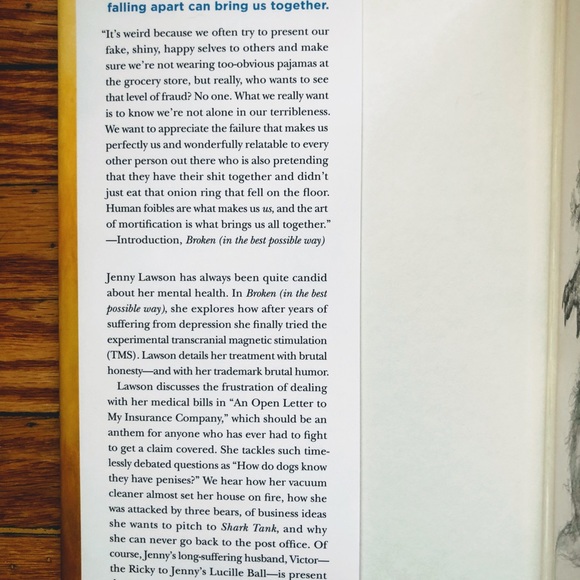 Broken (In The Best Possible Way) by Jenny Lawson - Picture 4 of 4